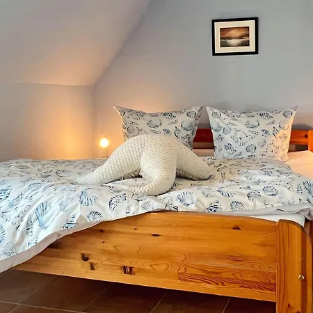 Friederike Zingst